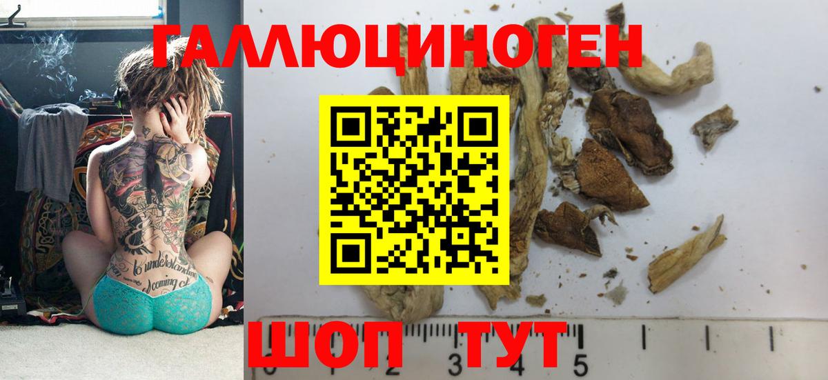 Галлюциногенные грибы GOLDEN TEACHER Сосновоборск