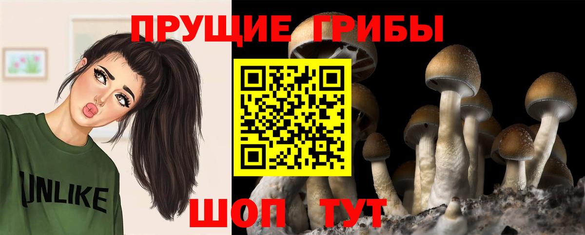 Псилоцибиновые грибы MAGIC MUSHROOMS  где продают   Сосновоборск  Вход с VPN 